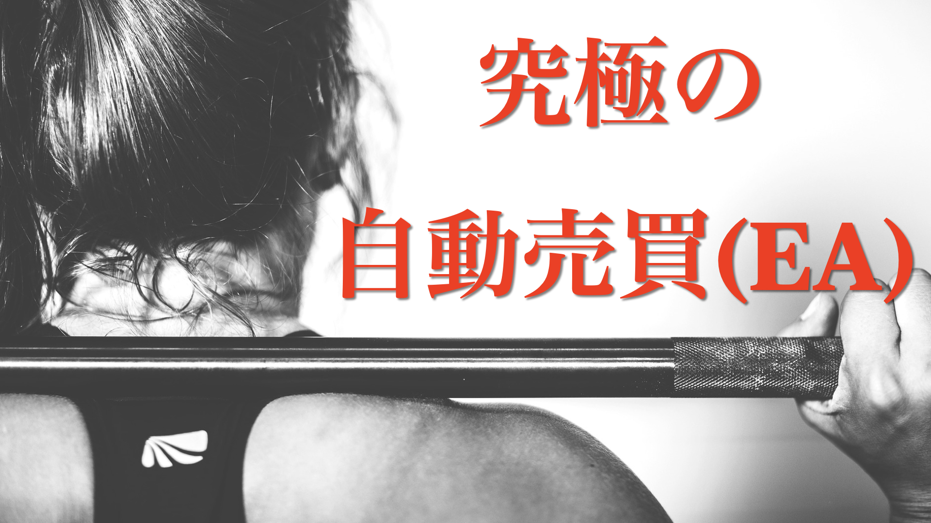 究極】あなた好みのナンピンマーチンEAを無料配布中【計算方法解説付】 | 怪獣グリのマネーマシン